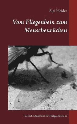 bokomslag Vom Fliegenbein zum Menschenrcken