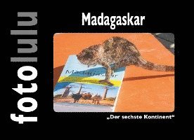 bokomslag Madagaskar