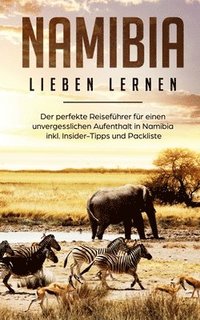 bokomslag Namibia lieben lernen