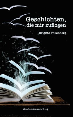 bokomslag Geschichten, die mir zuflogen