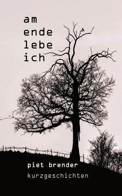 Piet Brender - Am Ende lebe ich, Häftad