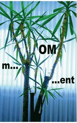 m...OM...ent 1