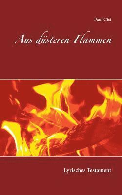 bokomslag Aus düsteren Flammen