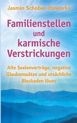 bokomslag Familienstellen und karmische Verstrickungen