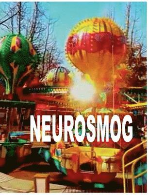 bokomslag Neurosmog