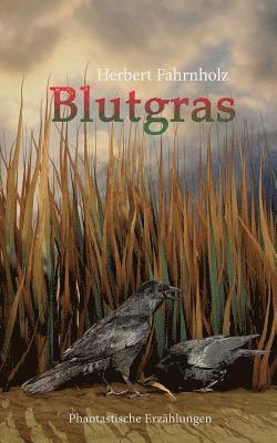 Blutgras 1