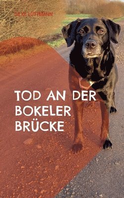 bokomslag Tod an der Bokeler Brcke