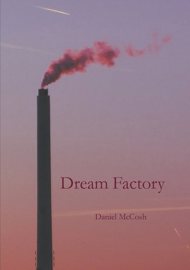 bokomslag Dream Factory