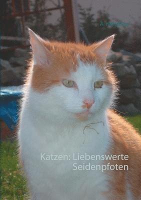 Katzen 1