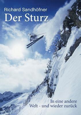bokomslag Sturz