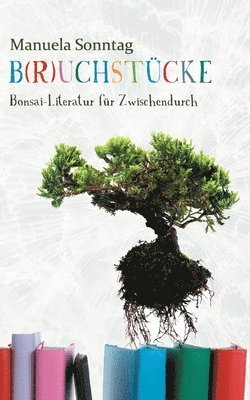 bokomslag B(r)uchstücke