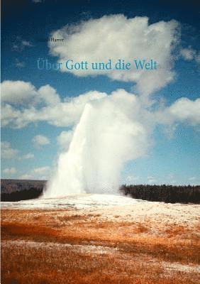 bokomslag Über Gott und die Welt