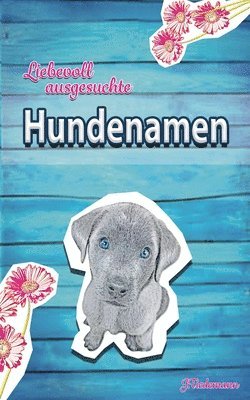 Liebevoll ausgesuchte Hundenamen 1