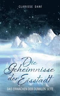 bokomslag Die Geheimnisse der Eisstadt