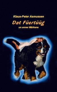 bokomslag Dat Füertüüg