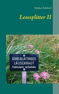 bokomslag Lesesplitter II