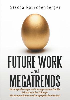 bokomslag Future Work und Megatrends