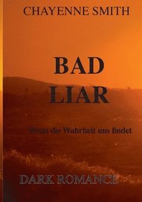 bokomslag Bad Liar