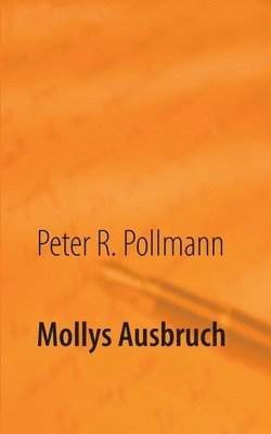 Peter R Pollmann - Mollys Ausbruch, Häftad