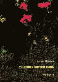 bokomslag Zu Besuch unterm Mond: Gedichte