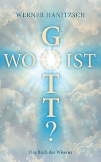 bokomslag Wo ist Gott?