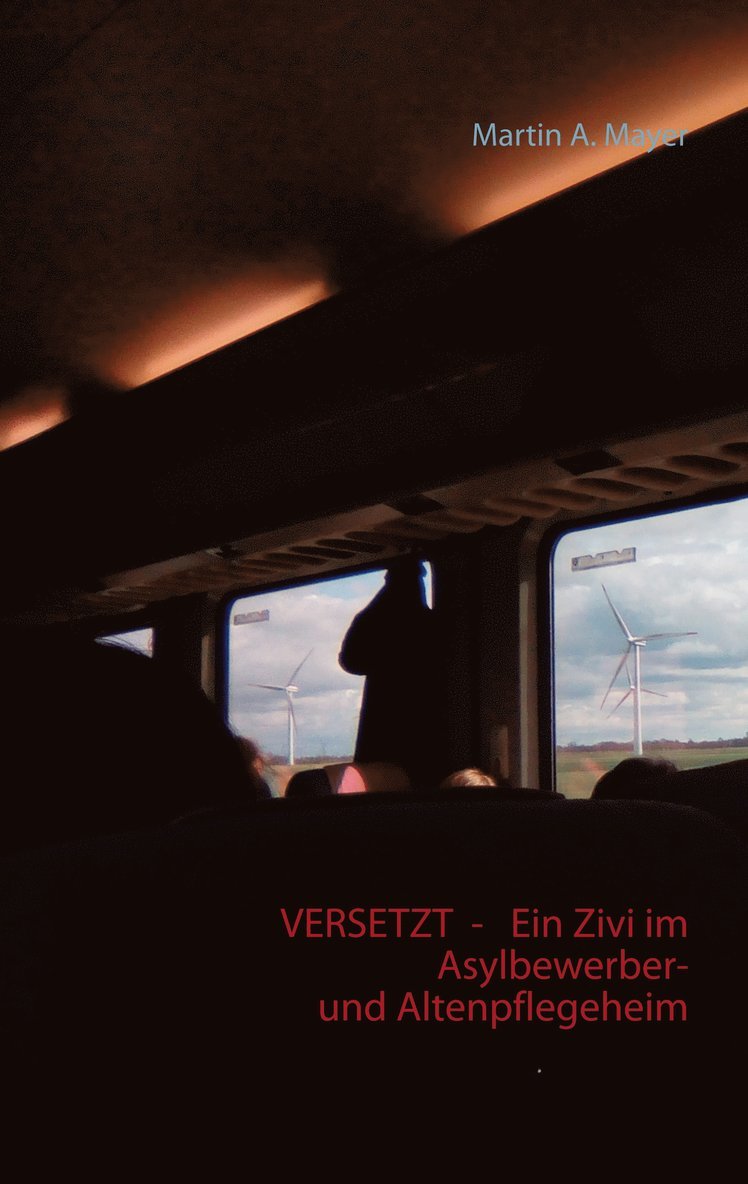 Martin A. Mayer - Versetzt -  Ein Zivi im Asylbewerber- und Altenpflegeheim, Häftad