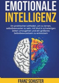 bokomslag Emotionale Intelligenz