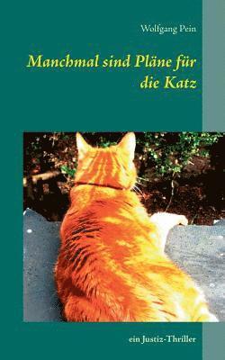 Manchmal sind Pläne für die Katz