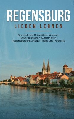 bokomslag Regensburg lieben lernen