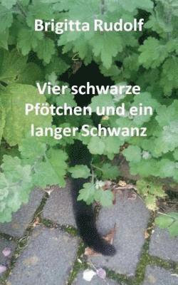 bokomslag Vier schwarze Pftchen und ein langer Schwanz