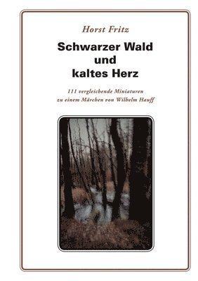 bokomslag Schwarzer Wald und kaltes Herz