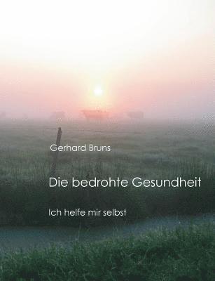 bokomslag bedrohte Gesundheit