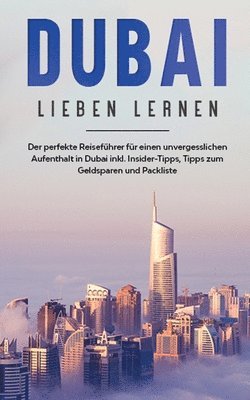 bokomslag Dubai lieben lernen