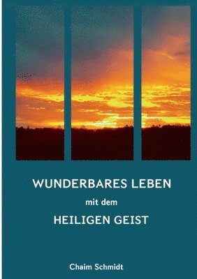 bokomslag Wunderbares Leben mit dem Heiligen Geist