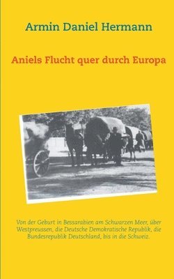 bokomslag Aniels Flucht durch ganz Europa