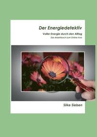 bokomslag Der Energiedetektiv