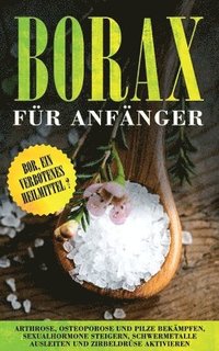 bokomslag Borax fur Anfanger