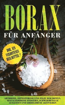 bokomslag Borax für Anfänger