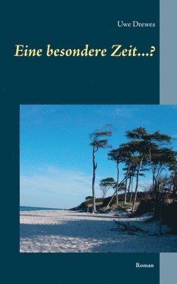 Uwe Drewes - Eine besondere Zeit...?, Häftad