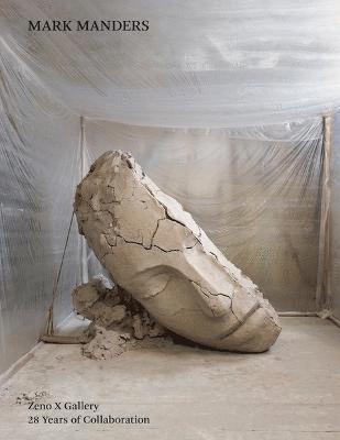 Mark Manders 1