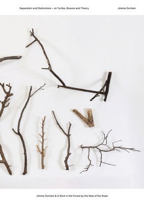 Iain Chambers - Jimmie Durham & A Stick in the Forest by the Side of the Road, Häftad