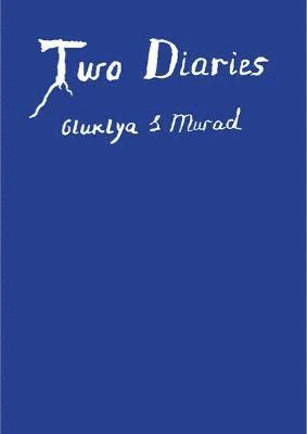 Two Diaries 1