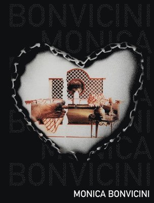 bokomslag Monica Bonvicini