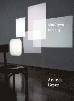 Andrea Geyer. Shadows Nearby 1