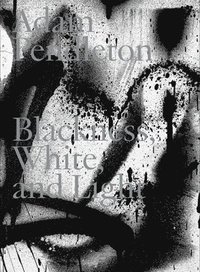 bokomslag Adam Pendleton: Blackness, White, and Light