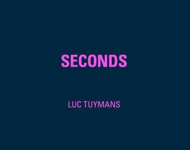 bokomslag Luc Tuymans