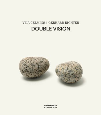 bokomslag Vija Celmins | Gerhard Richter