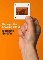 bokomslag Morgaine Schäfer. Through the Looking Glass
