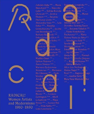 Saskia Bak, Stephanie Auer, Kathrin Elvers-Švamberk, Andrea Jahn, Stella Rollig, Evelien Scheltinga - Radical!, Häftad