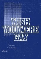 bokomslag Anne Imhof - Wish You Were Gay